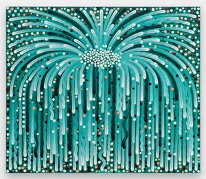 Feu d'artifice (plante) - Hugo Capron